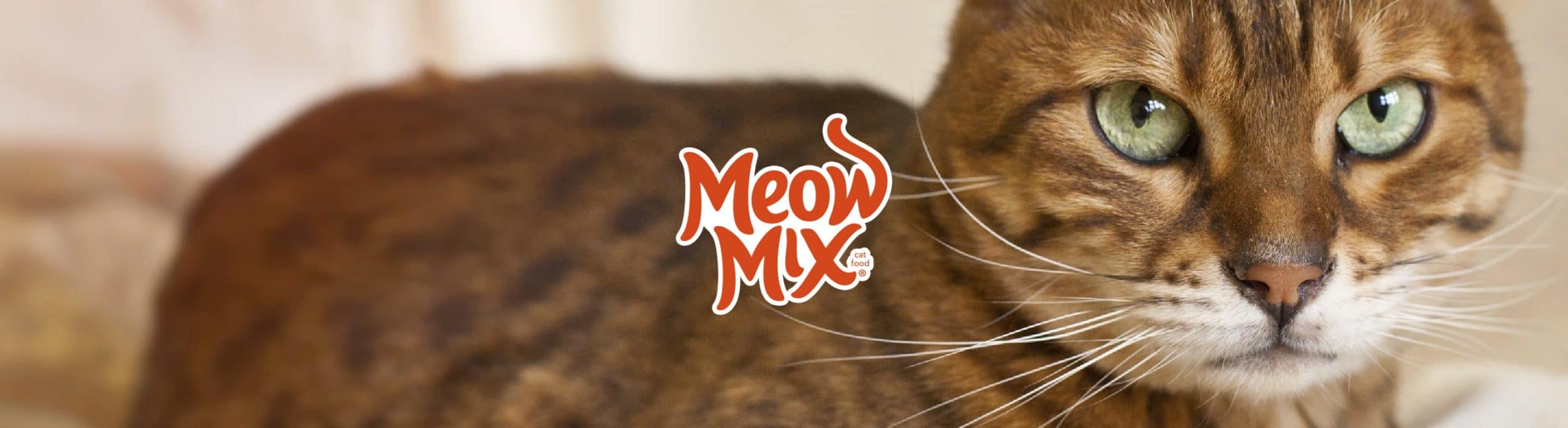 Meow mix outlet parent company