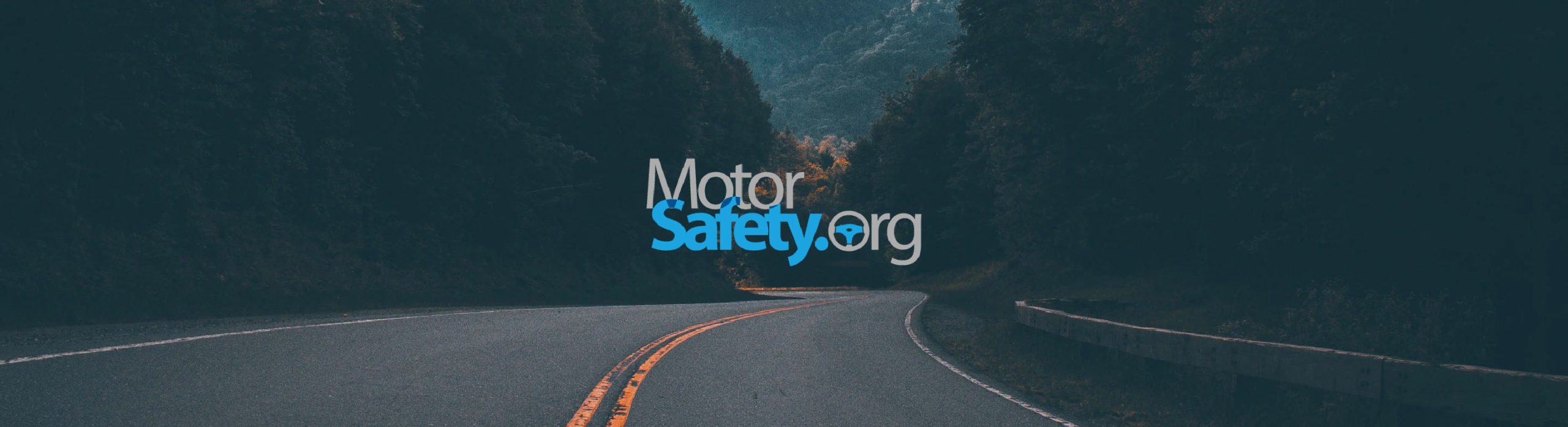 MotorSafety