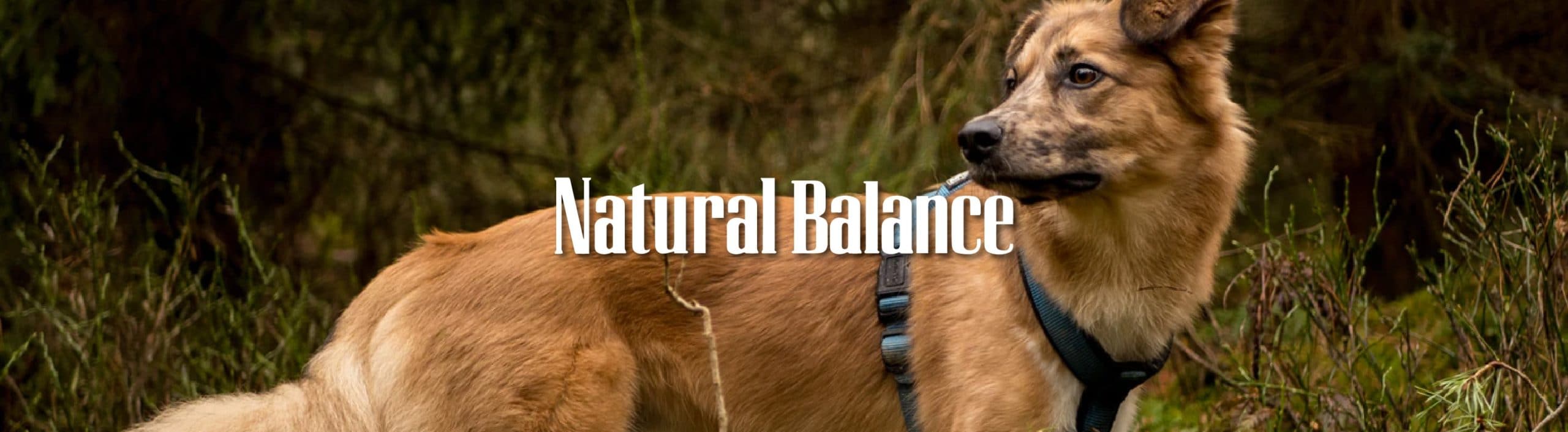 Natural Balance